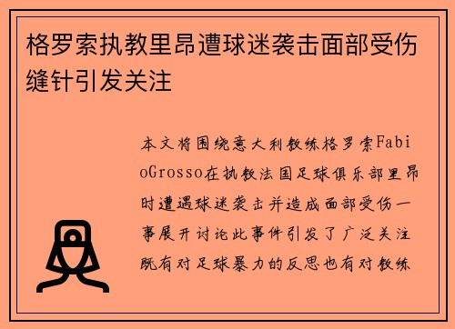 格罗索执教里昂遭球迷袭击面部受伤缝针引发关注 格罗索执教里昂遭球迷袭击面部受伤缝针引发关注