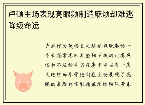 卢顿主场表现亮眼频制造麻烦却难逃降级命运