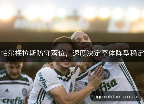 帕尔梅拉斯防守落位,速度决定整体阵型稳定 帕尔梅拉斯防守落位,速度决定整体阵型稳定